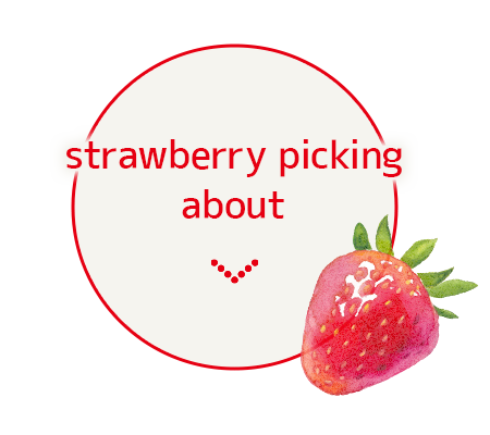 strawberry picking about